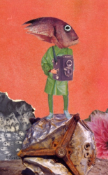 thumbs_fotofish2011w-copia-copia