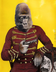 thumbs_monkey-copia