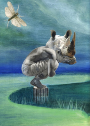 thumbs_rino2013-copia